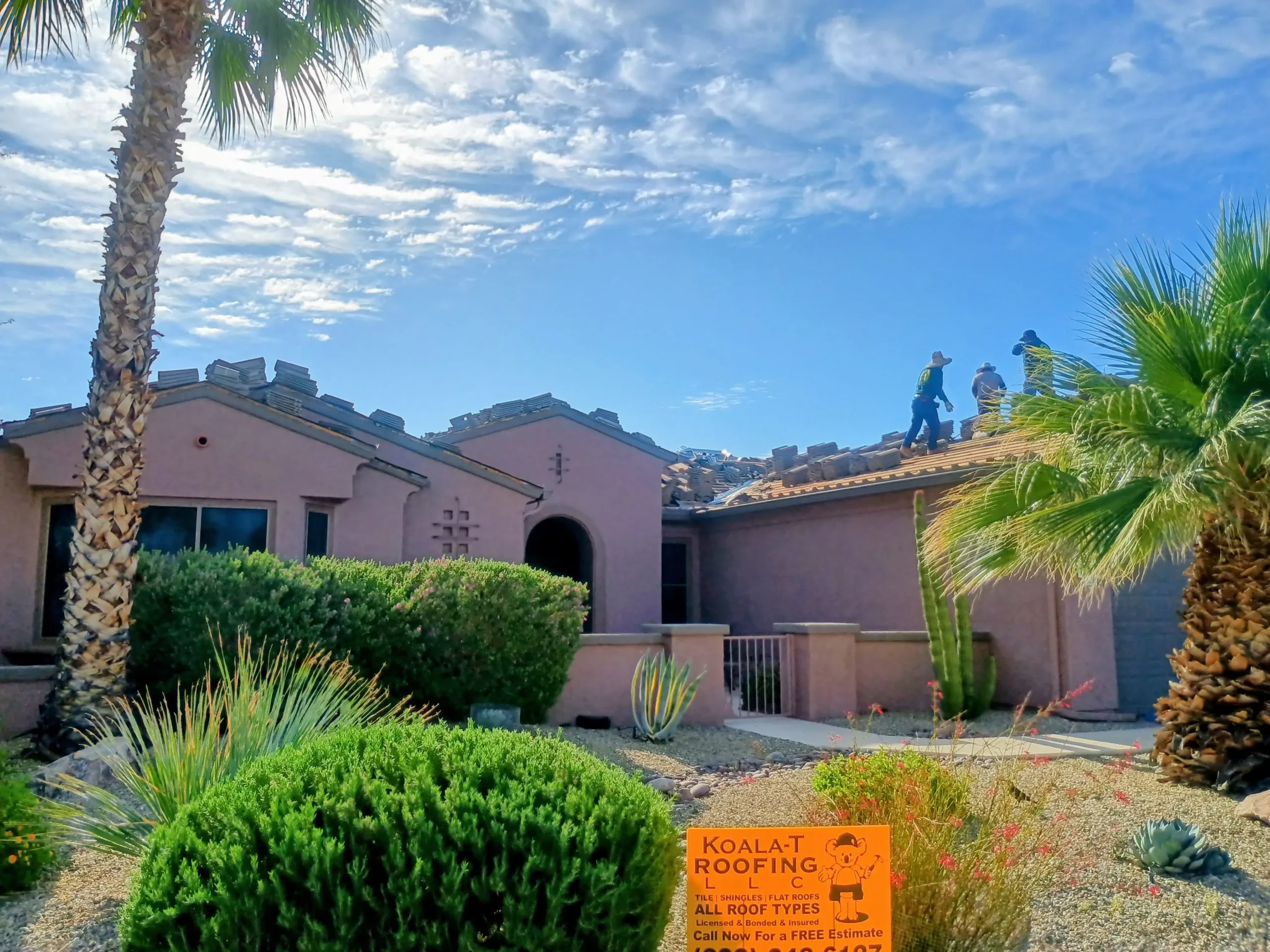 Roofers working on a tile roof under a clear blue Arizona sky, surrounded by palm trees and desert landscaping, with a Koala-T Roofing LLC sign in the yard indicating licensed and insured roofing services.